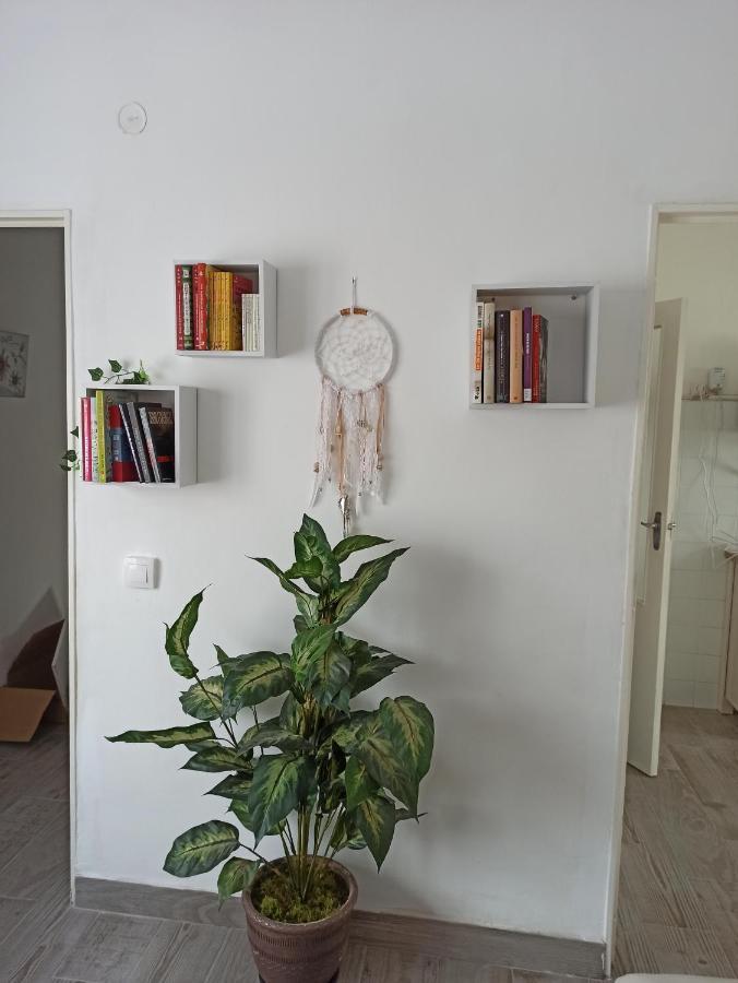 Apartamento Elizondo Giltxaurdi Экстерьер фото